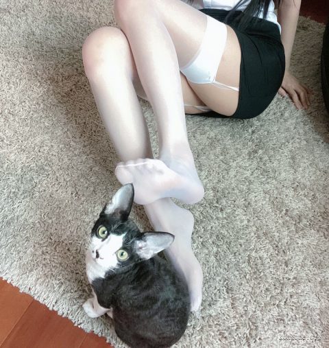 51酱_ol__20